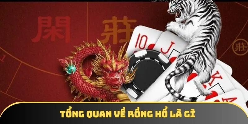 Tổng quan về rồng hổ là gì cho người mới